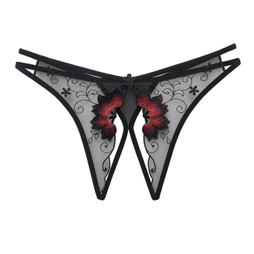 Women's Sexy Bikini Panties with Lace / Transparent Embroidery Briefs / Ladies Mesh Lingerie - EVE's SECRETS
